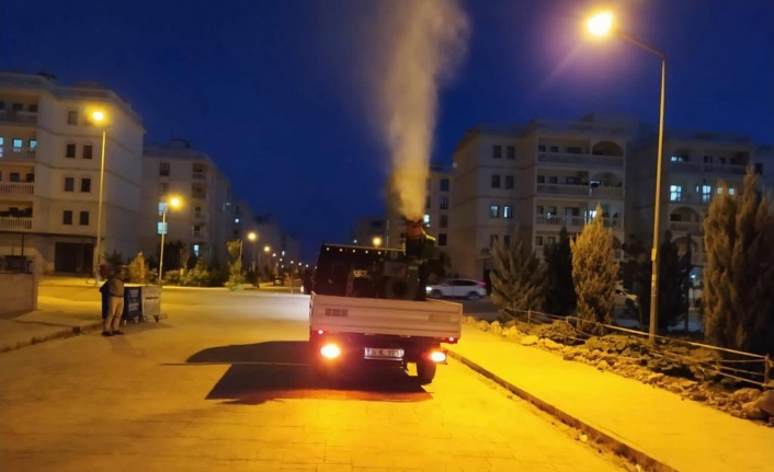 Mardin’de haşere ve sinekle mücadele gece gündüz devam ediyor