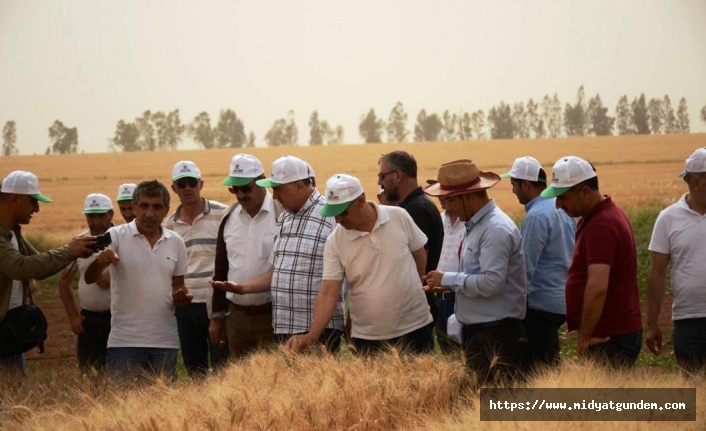 Mardin’in Tarımsal Ürün Çeşitliliği MAÜ ile Artıyor