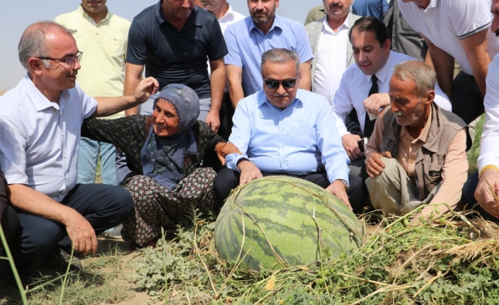 Diyarbakır'da ağırlığıyla yarışacak karpuzlarda hasat başladı