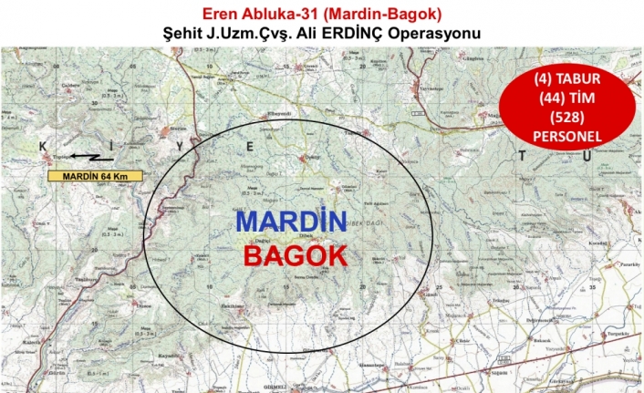 Mardin'de, Eren-Abluka-31 operasyonu başlatıldı