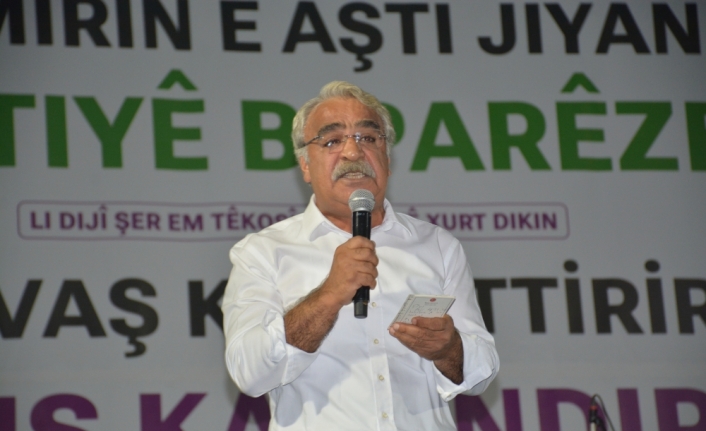 HDP Eş Genel Başkanı Sincar, Silopi'de mitinge katıldı