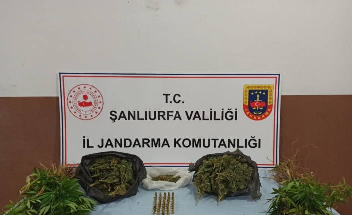 Şanlıurfa'da uyuşturucu operasyonunda 5 şüpheli gözaltına alındı