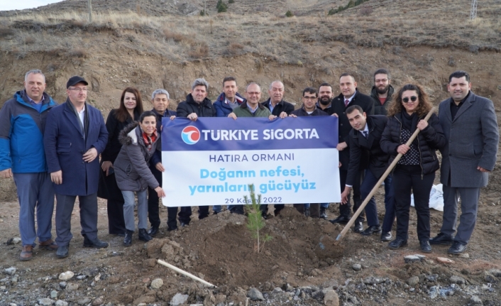 Türkiye Sigorta Ormanı Sivas'ta yeşerecek